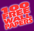 100FREE WallPapers