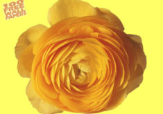 Yellowrose